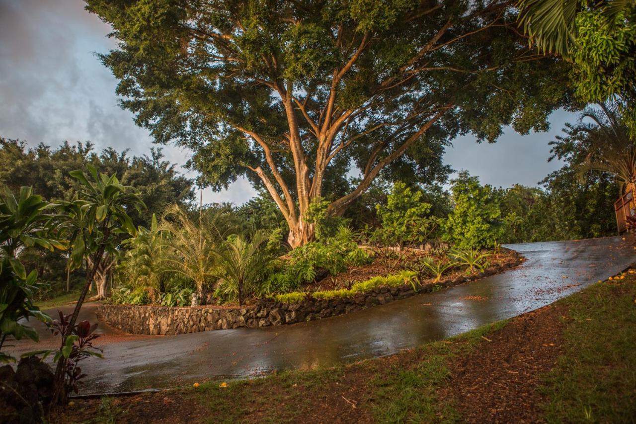 Banyan Tree Sanctuary Guest House Kalaoa المظهر الخارجي الصورة